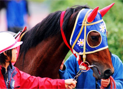 �~�c�C�V�t�����[