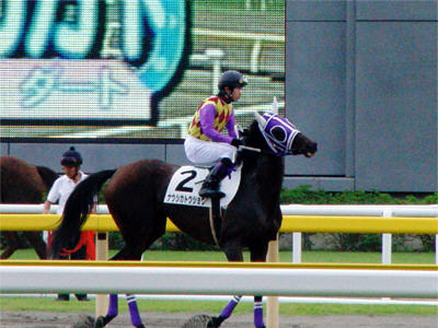 �g�����l�R��