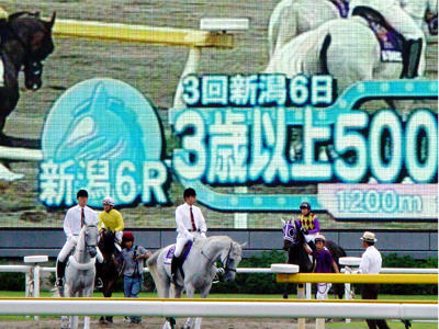 �g�����l�R��