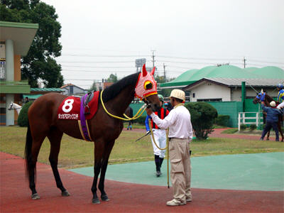 �g�����l�R��