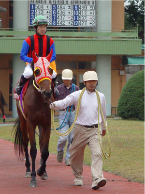 �g�����l�R��