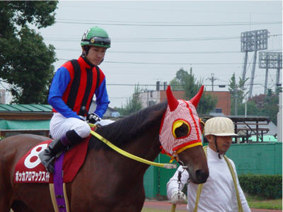 �g�����l�R��