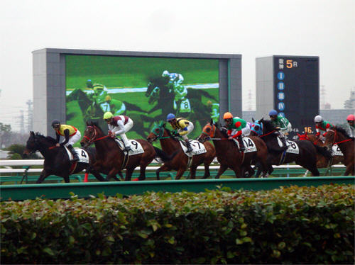 �v���U���g�V�[�Y��