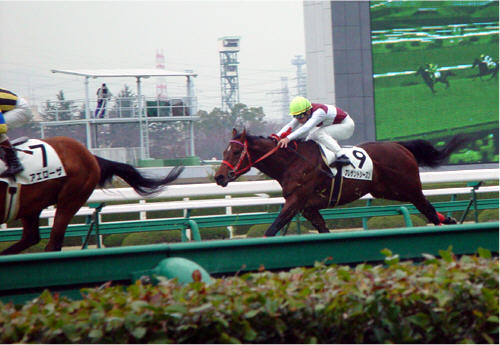 �v���U���g�V�[�Y��