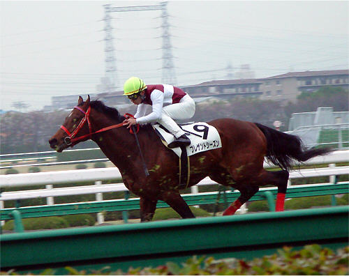 �v���U���g�V�[�Y��