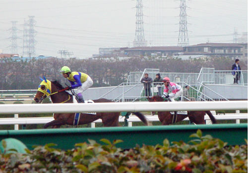 �P�C�e�B�N���V�[