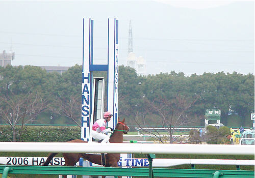 �P�C�e�B�N���V�[