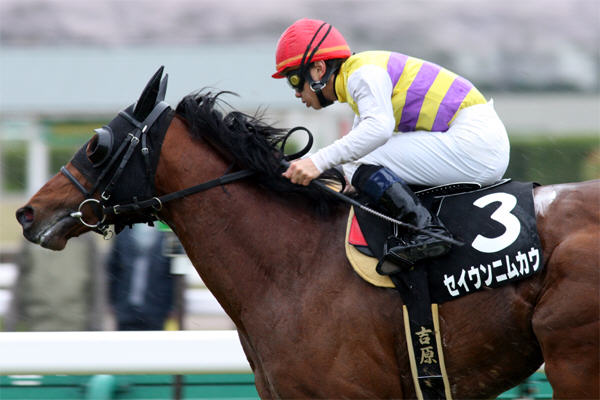 �g���R��