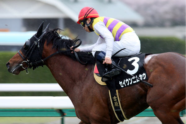 �g���R��