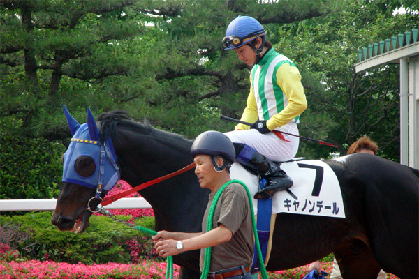 �g�����l�R��